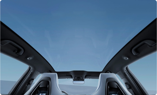 Chassis Platform